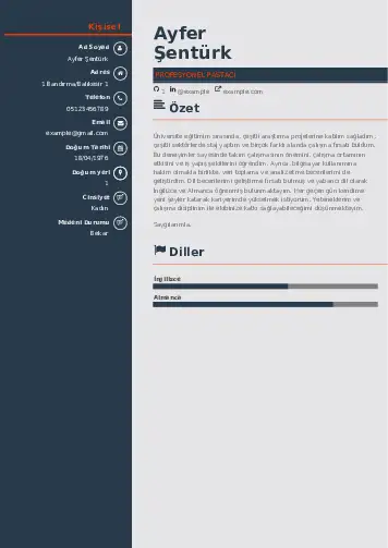 Pastacı Cv Örnekleri cv indir